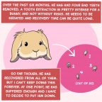 comic_2020_balthazarupdate_3